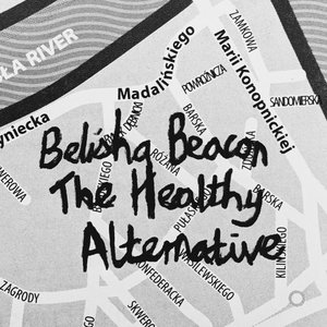 The Healthy Alternative