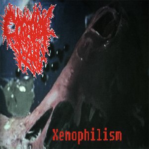 Xenophilism