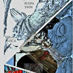Sola Busca