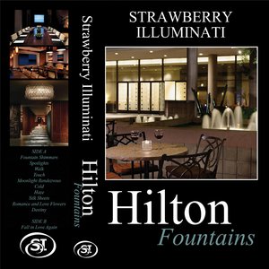 Hilton Fountains