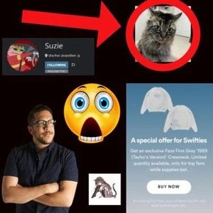 A Special Offer For Swifties