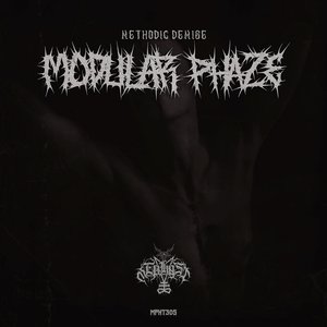 Methodic Demise