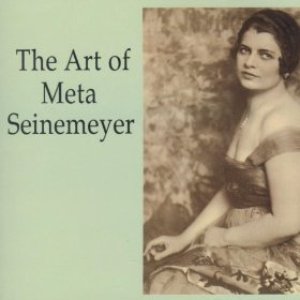 The Art of Meta Seinemeyer
