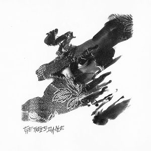 Trees Dance photo provided by Last.fm