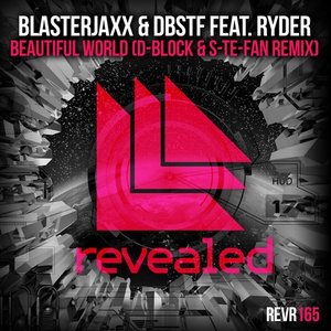 Beautiful World (D-Block & S-te-Fan Remix)