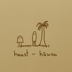Haast - Hāwea