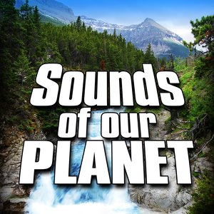 Sounds of Our Planet (Nature Sounds)