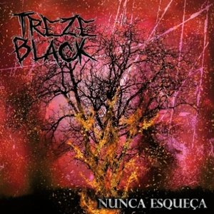 Nunca Esqueça - Single