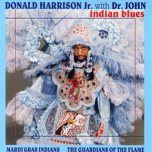 Image for 'Indian Blues'