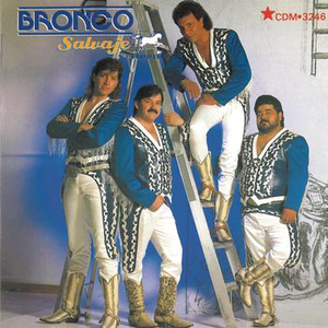 Salvaje y tierno cover