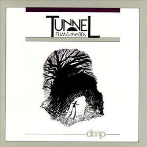 Tunnel cover