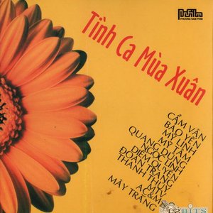 Tình Ca Mùa Xuân