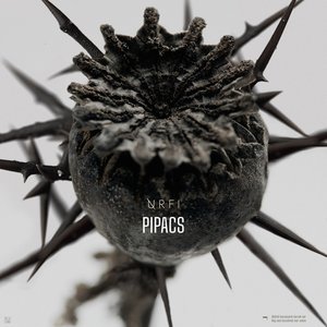 Pipacs