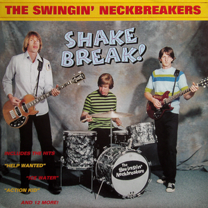 Shake Break! cover