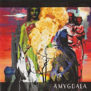 Amygdala