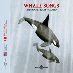 Whale Songs