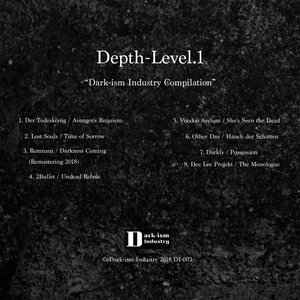 Depth-Level.1