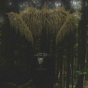 Irradiant Temporality