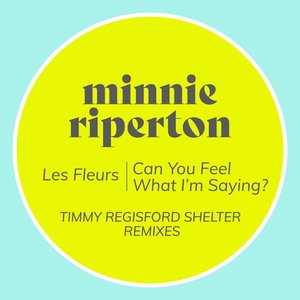Les Fleurs / Can You Feel What I'm Saying? (Timmy Regisford Shelter Remixes)