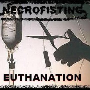 “Necrofisting”的封面