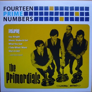 Fourteen Prime Numbers