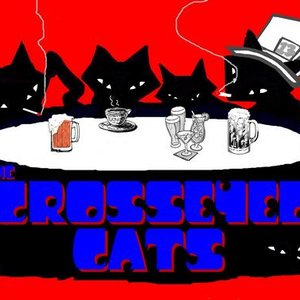 Awatar dla Crosseyed Cats