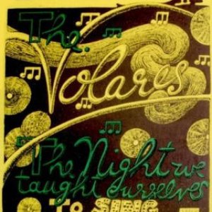 The Night We Taught Ourselves To Sing