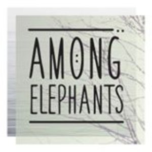 Among Elephants 的头像
