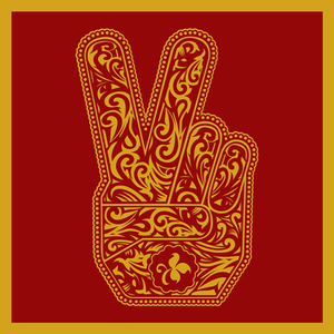 Stone Temple Pilots cover