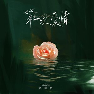 第一次爱情 - Single