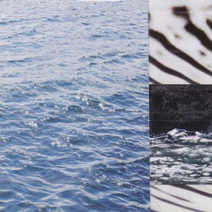 Oceanic Debris