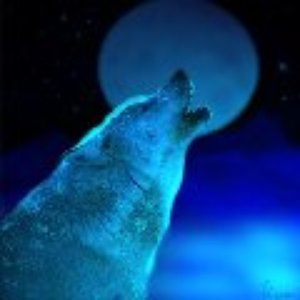 Avatar for Bluewolf