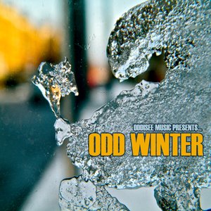 Odd Winter