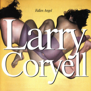 Fallen Angel cover