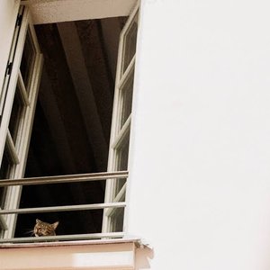 Something Soft [Explicit]
