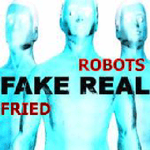 Avatar de Fried Robots