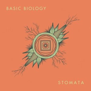 Stomata LP