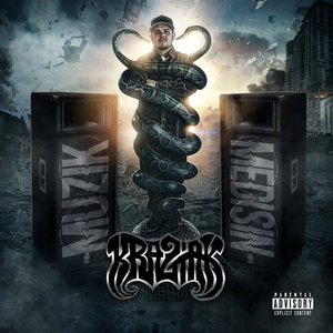 Muzik Medisin