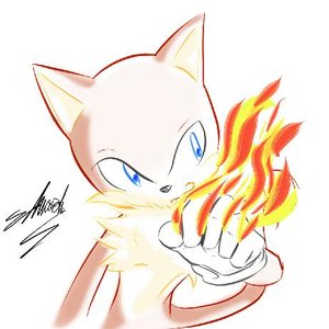 Edward The Cat için avatar