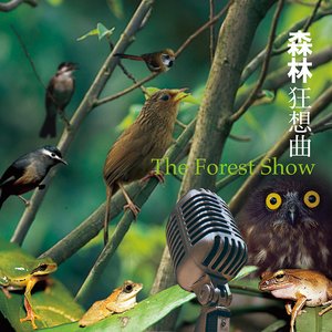 森林狂想曲