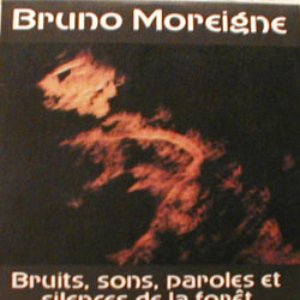 Bruits, sons, paroles et silences de la forêt