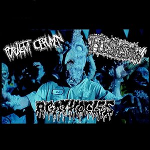 Purulent Cerumen / Agathocles / Fleshsaw