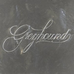 Greyhound