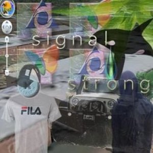signal strong