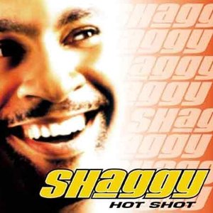 Hot Shot (UK EDITION WITH 2 BONUS TRACKS & 2 VIDS)