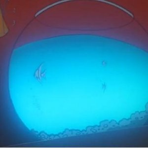 A New Integral Mind Experience