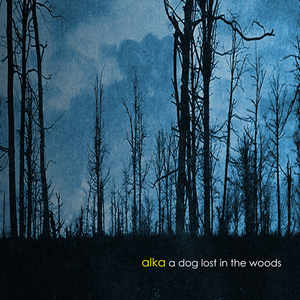 A Dog Lost in the Woods