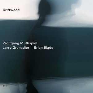 Driftwood