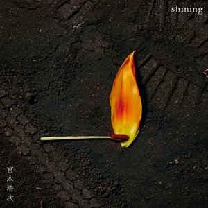 shining