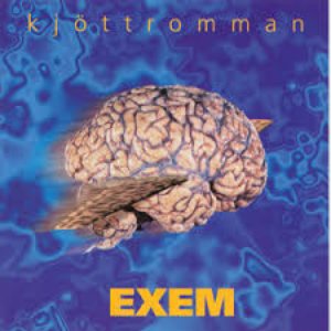 Kjöttromman